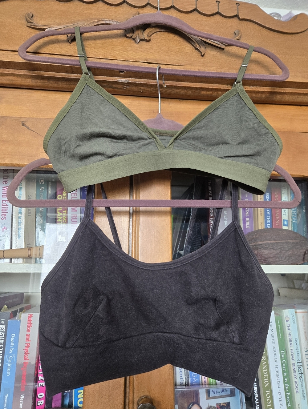 Organic Cotton & Merino Wool Bralette Bundle Blue Canoe Icebreaker L